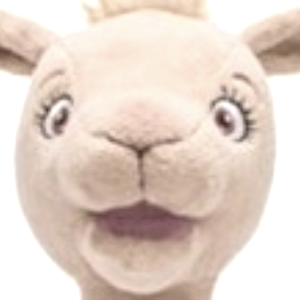 Meet your Posher, Mama Llama